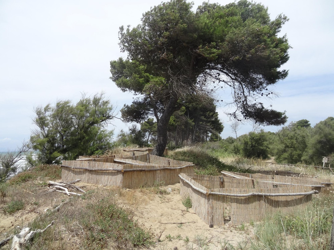 Parco Costiero della Sterpaia景点图片