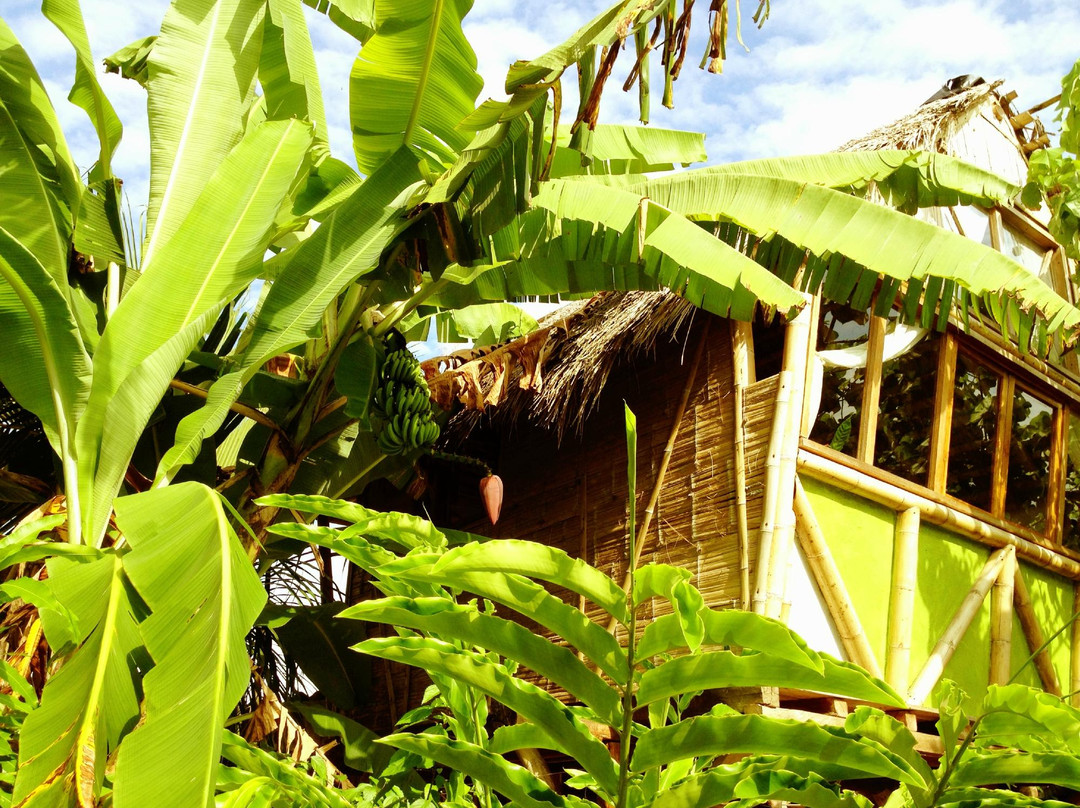 La Jungla Tropical Bungalows