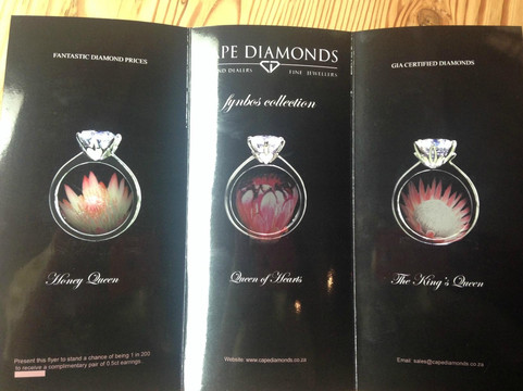 Cape Diamonds-开普敦中心区必去景点