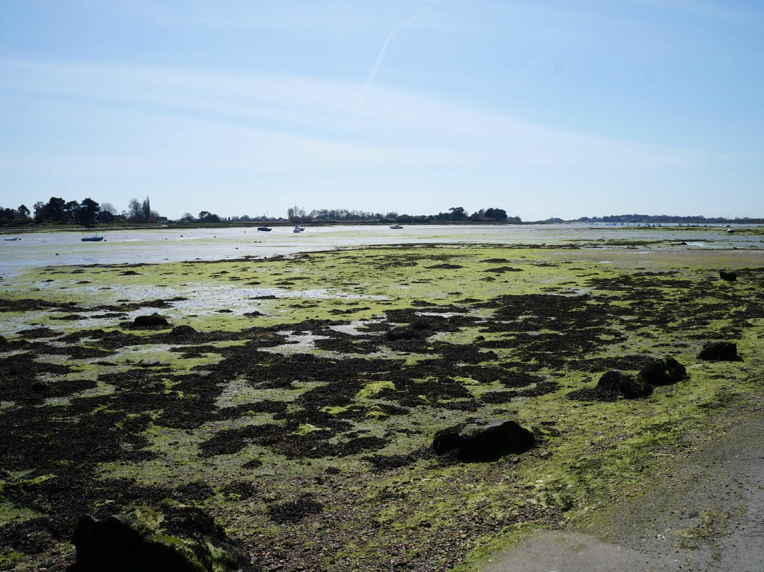 Bosham Quay景点图片