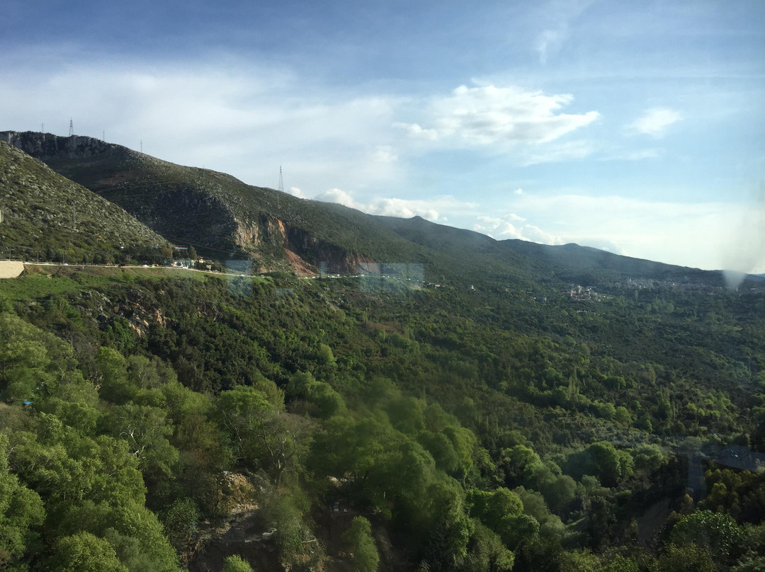 Idlib餐馆和美食-Bogazici Restaurant