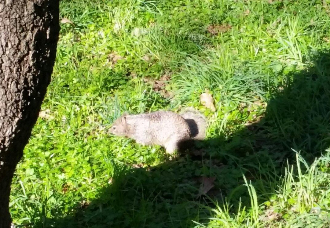 Bush's Pasture Park-塞勒姆必去景点