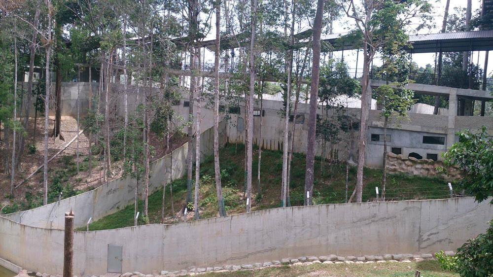 Bukit Gambang Safari Park景点图片