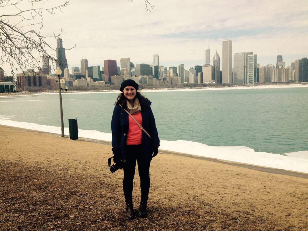 See it All Chicago Tours-芝加哥必去景点