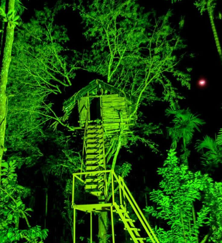 Junghle Dayz Farm Resort主图