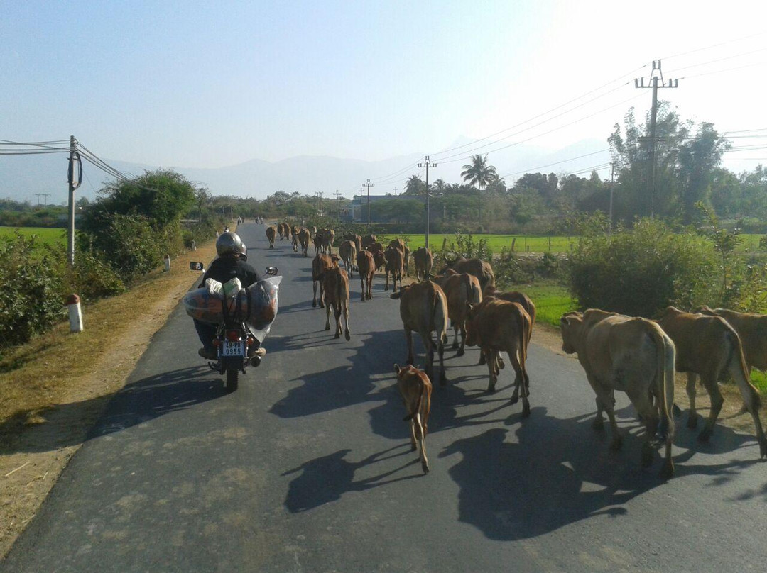 Vietnam Motorbike Tours - Around Da Lat-大勒必去景点
