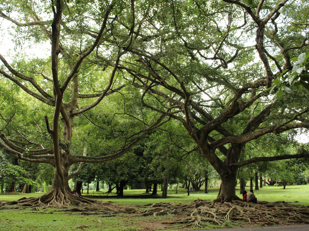 Euphoria Exotic Holidays-Matale必去景点