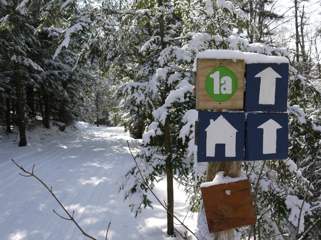 Plein Air Sutton-Sutton必去景点