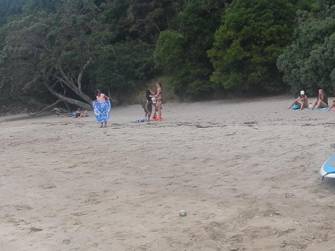 Whale Bay-Matapouri必去景点