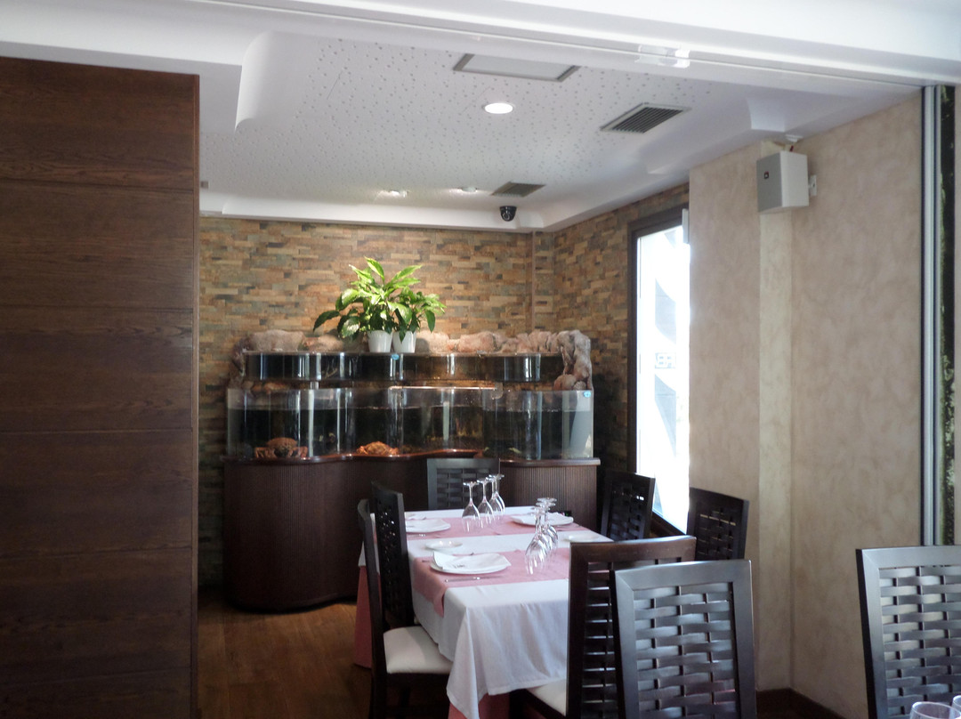 Arellano餐馆和美食-DURBAN