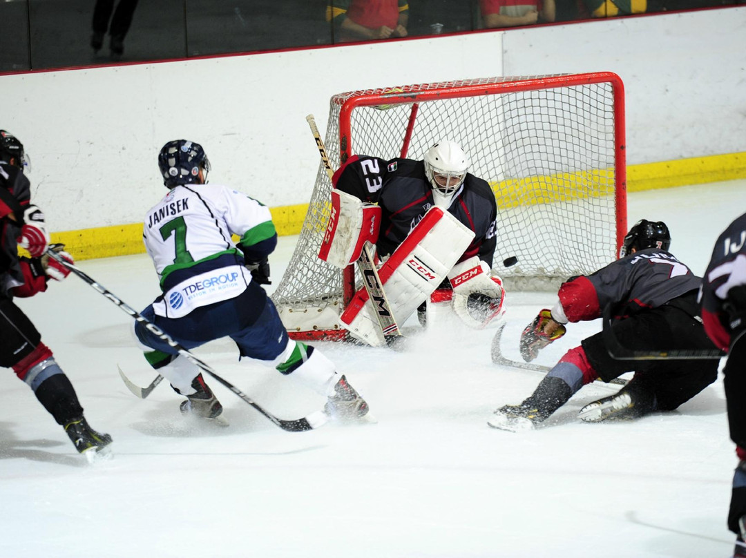 阿布扎比滑冰场-阿布扎比必去景点