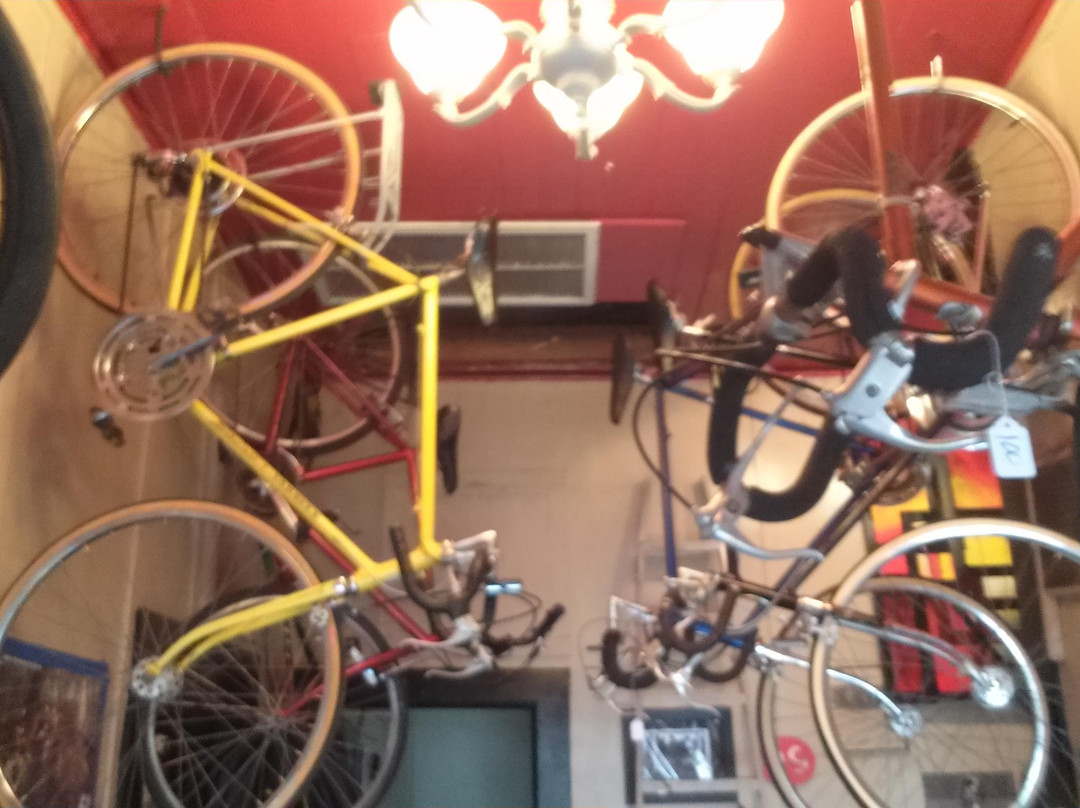 Brooks' Bike Shop-卡温顿必去景点