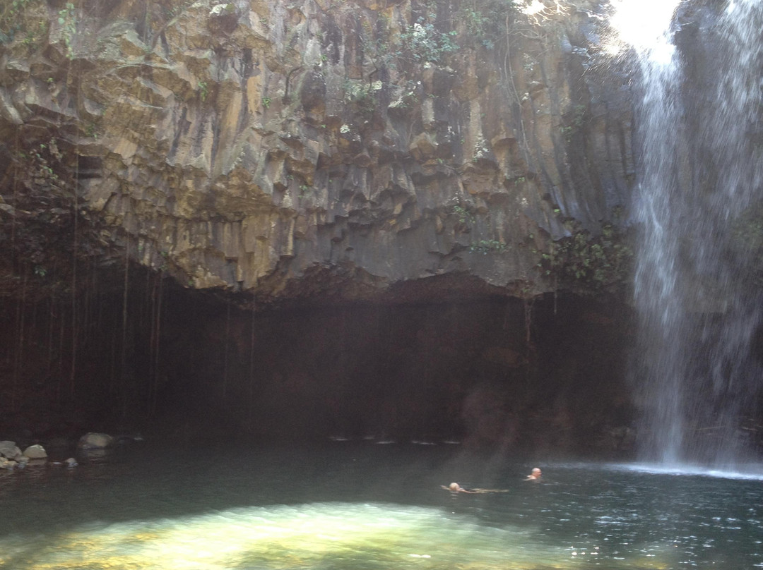 Maui Paradise Tours-海库必去景点