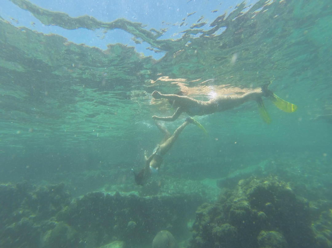 Dive Bazaruto-Vilanculos必去景点