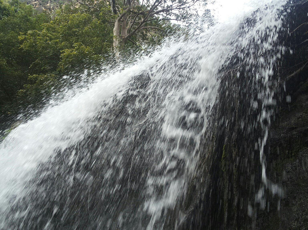 Suruli Falls景点图片