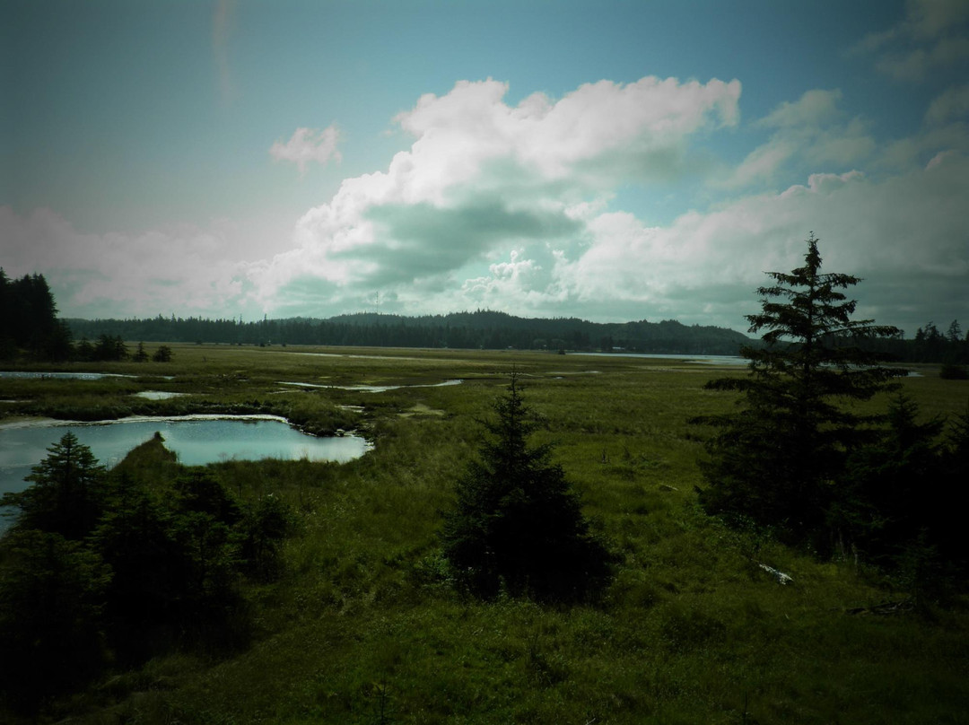 Delkatla Wildlife Sanctuary-Masset必去景点