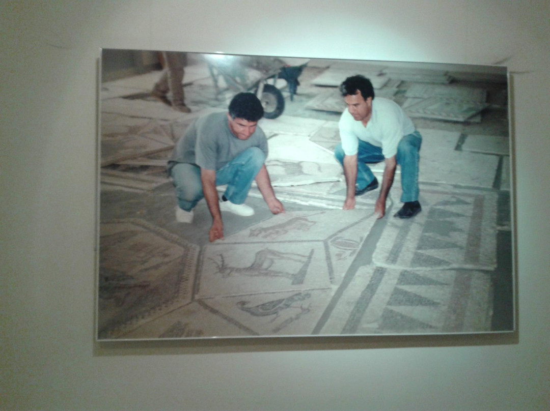 Mouseío Fysikís Istorías Aigaíou-Samos必去景点