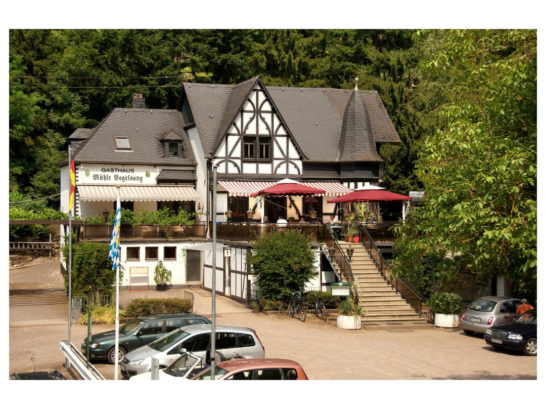Brodenbach酒店住宿-Historische Muehle Vogelsang
