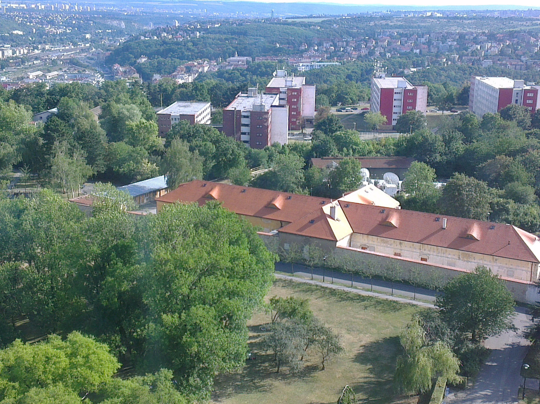 Eva Prague Tours景点图片