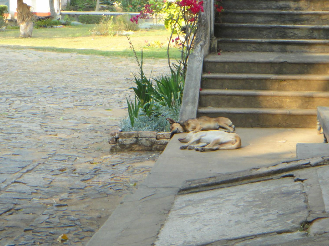 Aldeia Arcozelo-Paty do Alferes必去景点