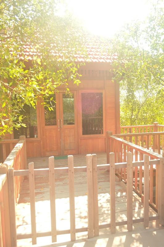 Ekowisata Mangrove Wonorejo-泗水必去景点