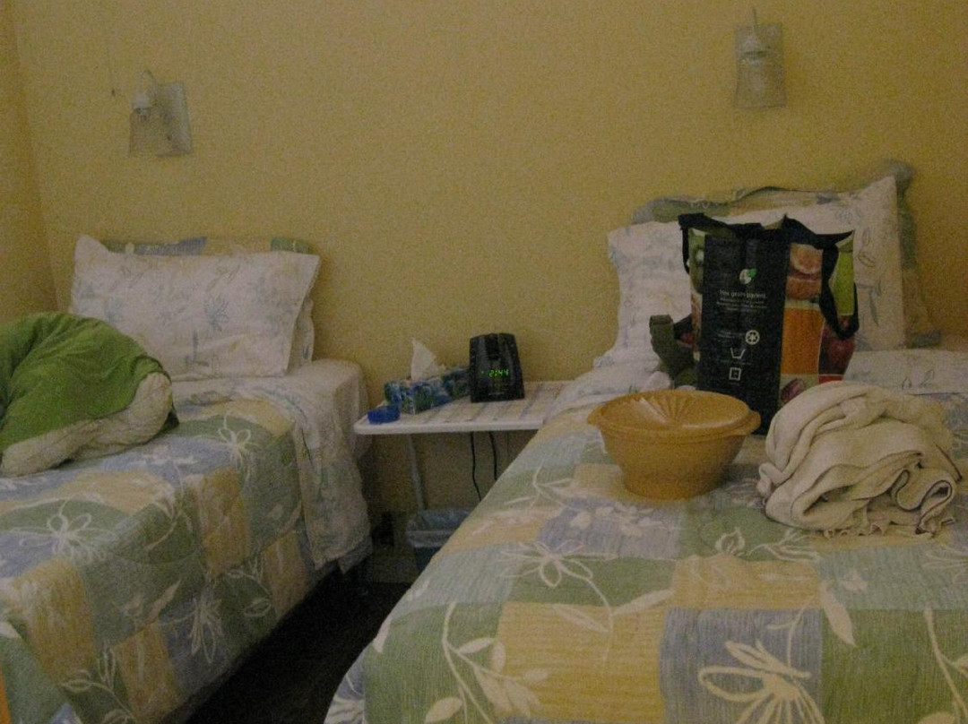 Willow Shores B&B主图