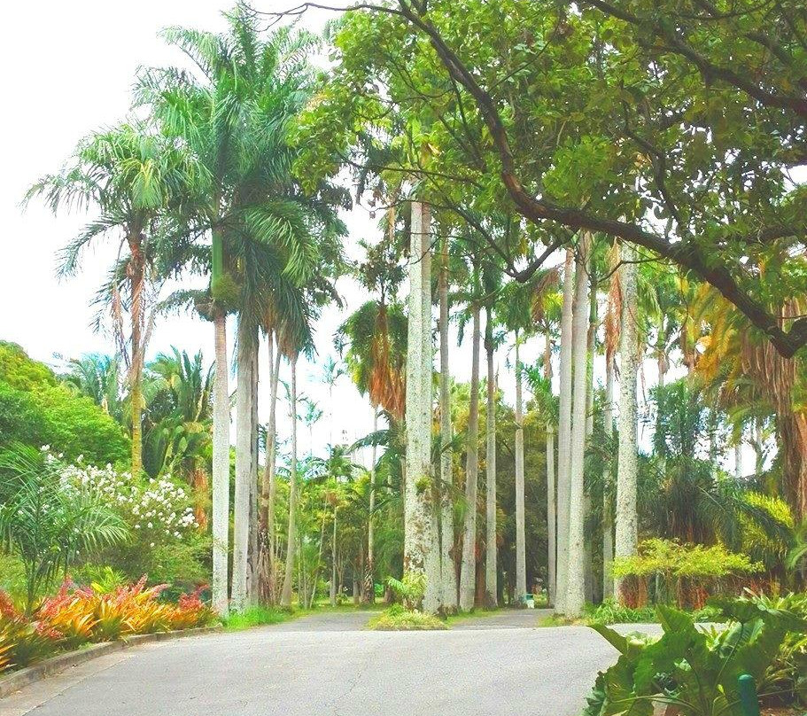 Jardín Botánico-加拉加斯必去景点