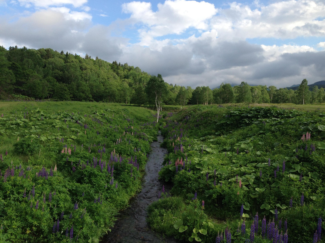 Tokachi Mitsumata-上士幌町必去景点