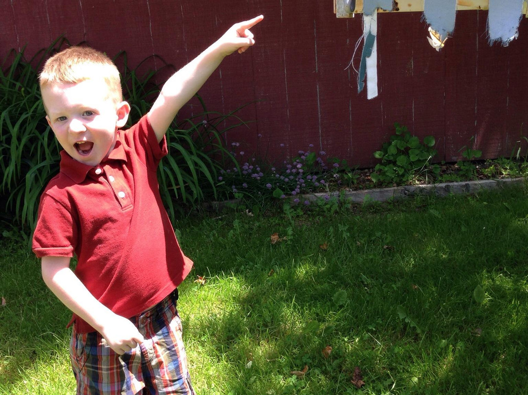 Knight's Spider Web Farm-Williamstown必去景点