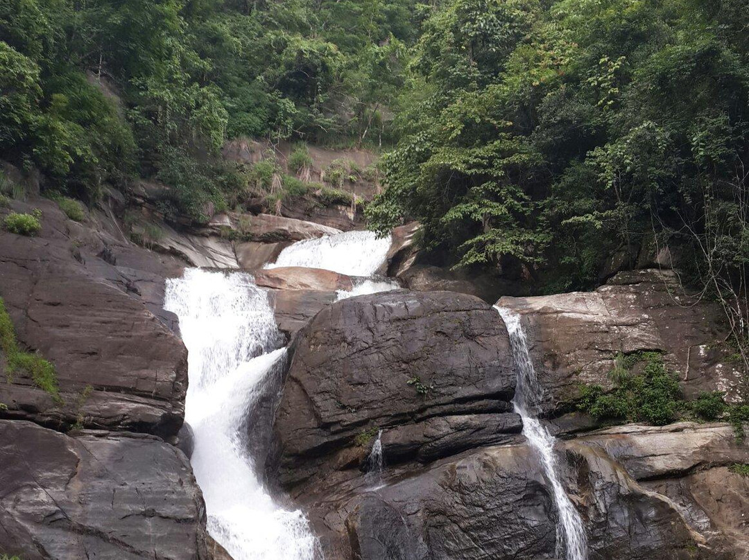 Meenmutty Falls-卡尔贝塔必去景点