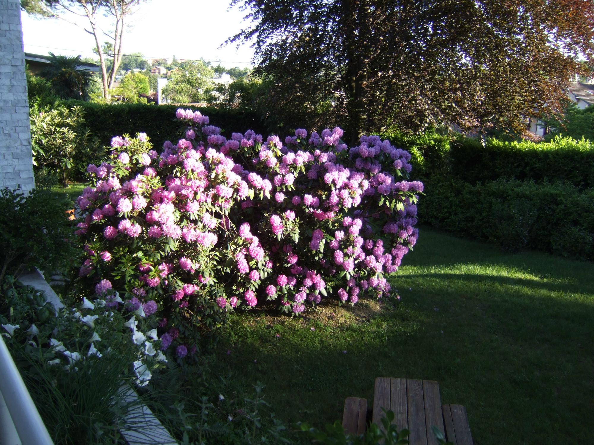B&B Villa Margherita-浴室