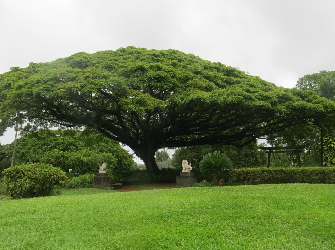 莉莉乌卡拉尼公园-希洛必去景点