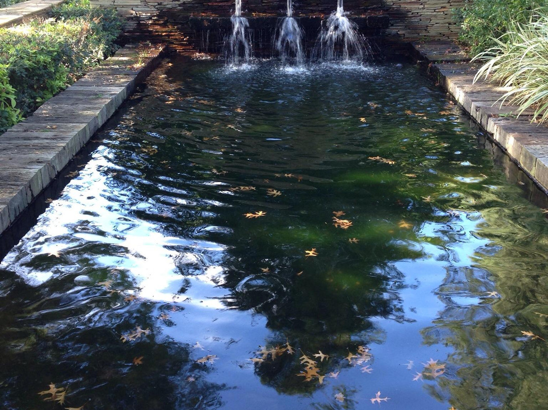 Delaire Graff Estate-斯泰伦博斯必去景点