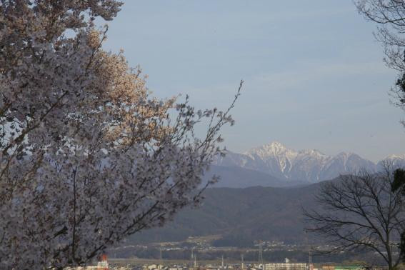 Kasuga Park-伊那市必去景点