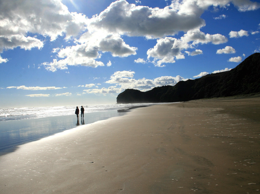 Te Huia Tours景点图片