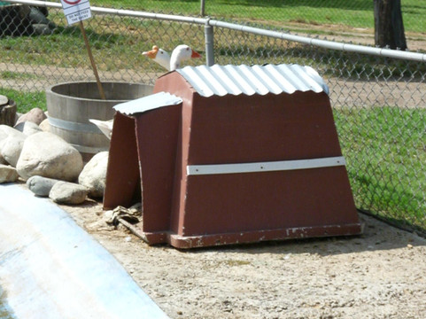Montebello Barnyard Zoo-蒙特贝洛必去景点