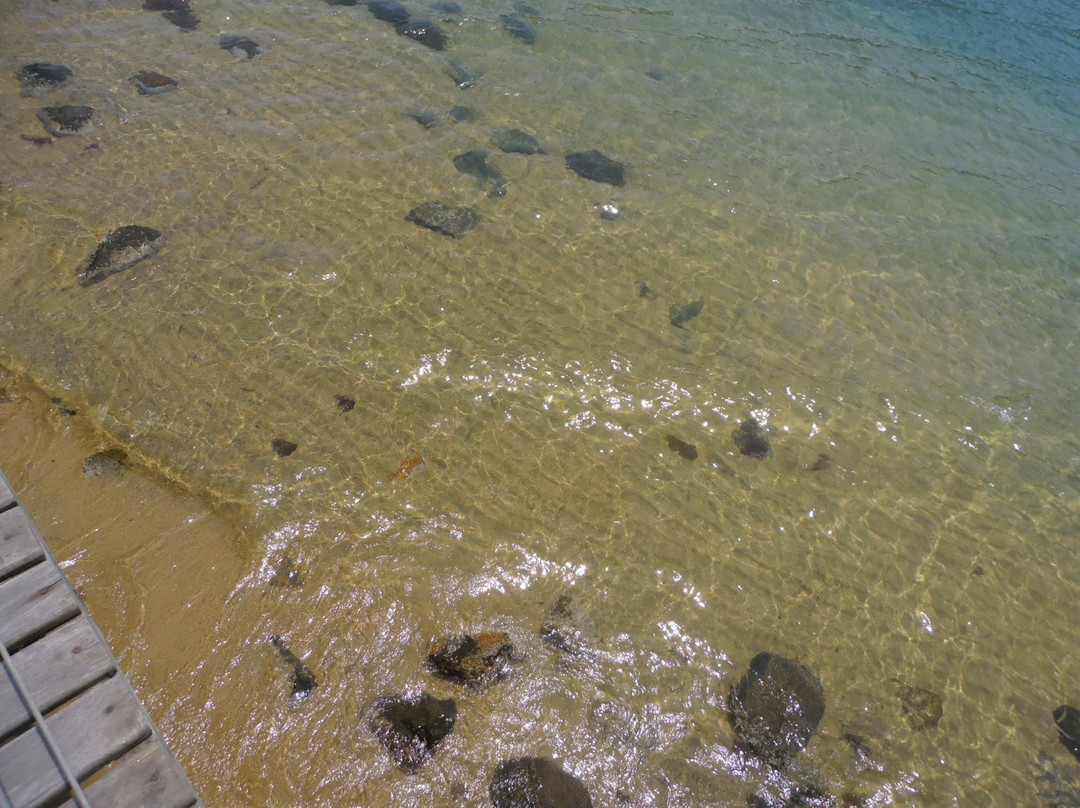 Pedras Miudas Beach-伊利亚贝拉必去景点
