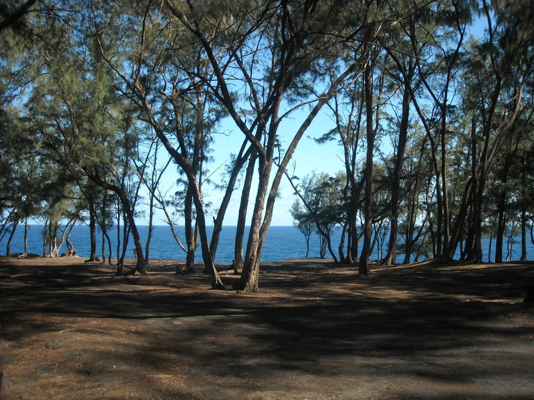 MacKenzie State Park-夏威夷大岛必去景点