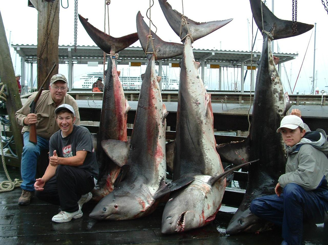 Alaskan Fishing Adventures-索尔多特纳必去景点