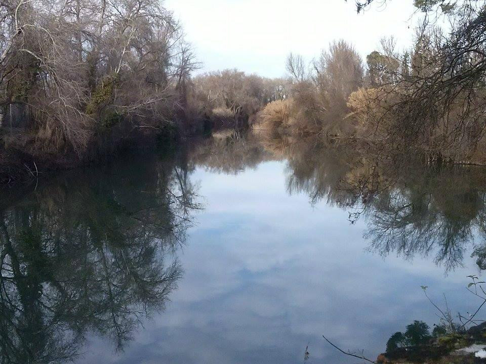 Aranjuez en un dia-阿兰胡埃斯必去景点