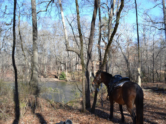 Adopt-A-Horse Horseback Riding-卡温顿必去景点