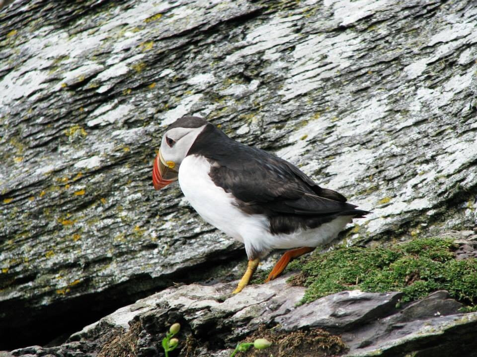 Ocean View B&B主图