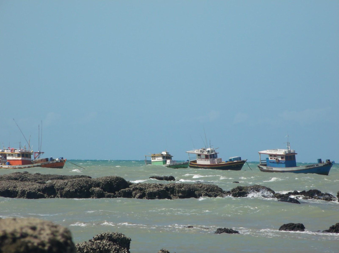 Cajueiro beach景点图片