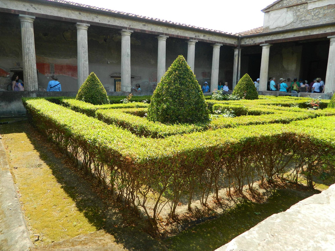 Casa del Menandro景点图片