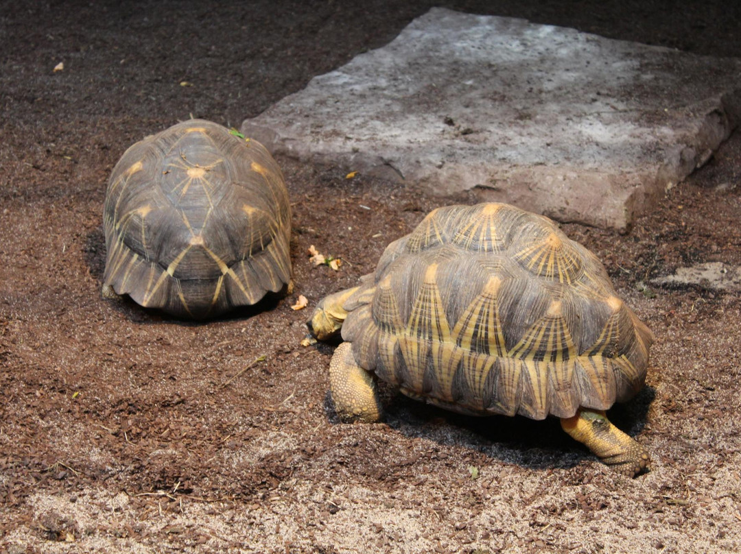 Aquazoo Loebbecke Museum-杜塞尔多夫必去景点