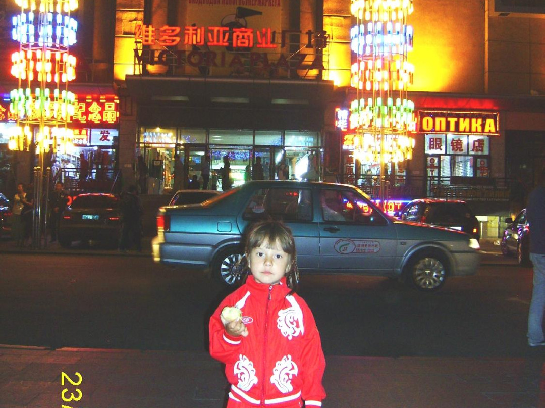 俄罗斯艺术博物馆-满洲里市必去景点