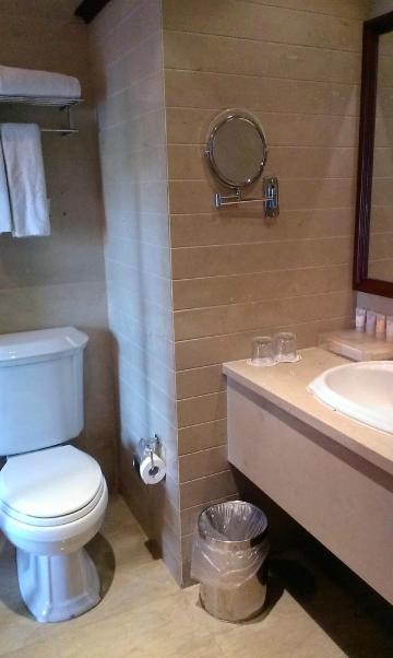 宝隆泰晤士假日酒店-客卧