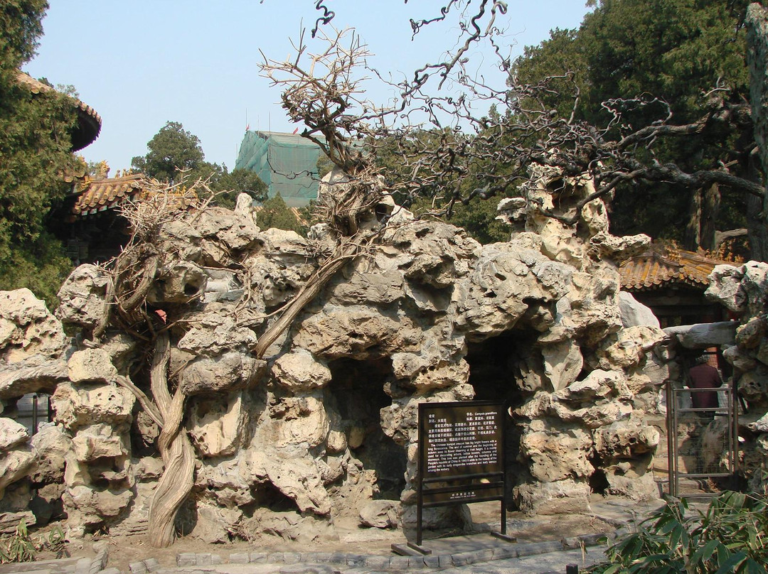 故宫御花园-北京市必去景点