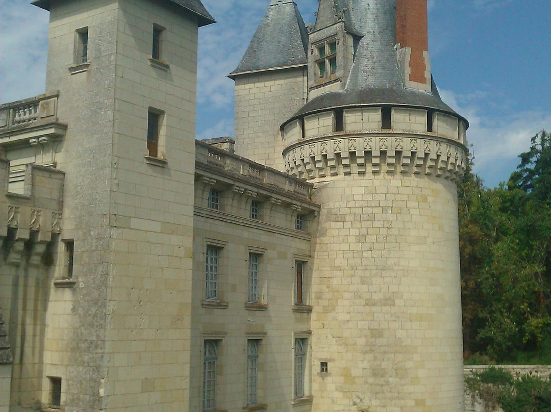 Chateau de Dissay景点图片