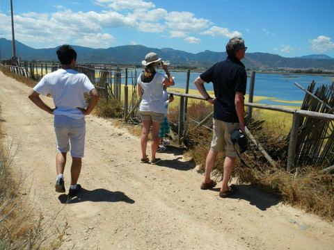 Bitan - Daily Tours-Domus de Maria必去景点